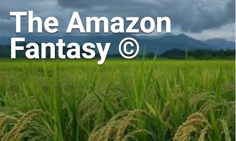 Amazon Fantasy: The Digital Highway That Runs Both Ways